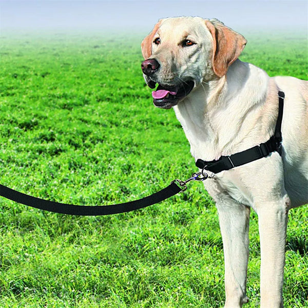 Control Dog Lead Leash Adjustable Training Lead Double Ended 6ft Police Style